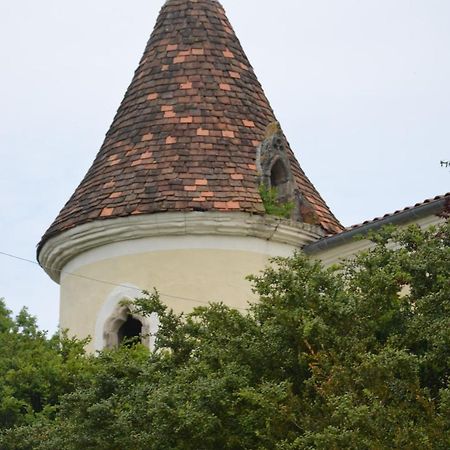 Chambres D'Hotes Du Chateau De Saint Sulpice La Sauvetat-sur-Lède Eksteriør billede