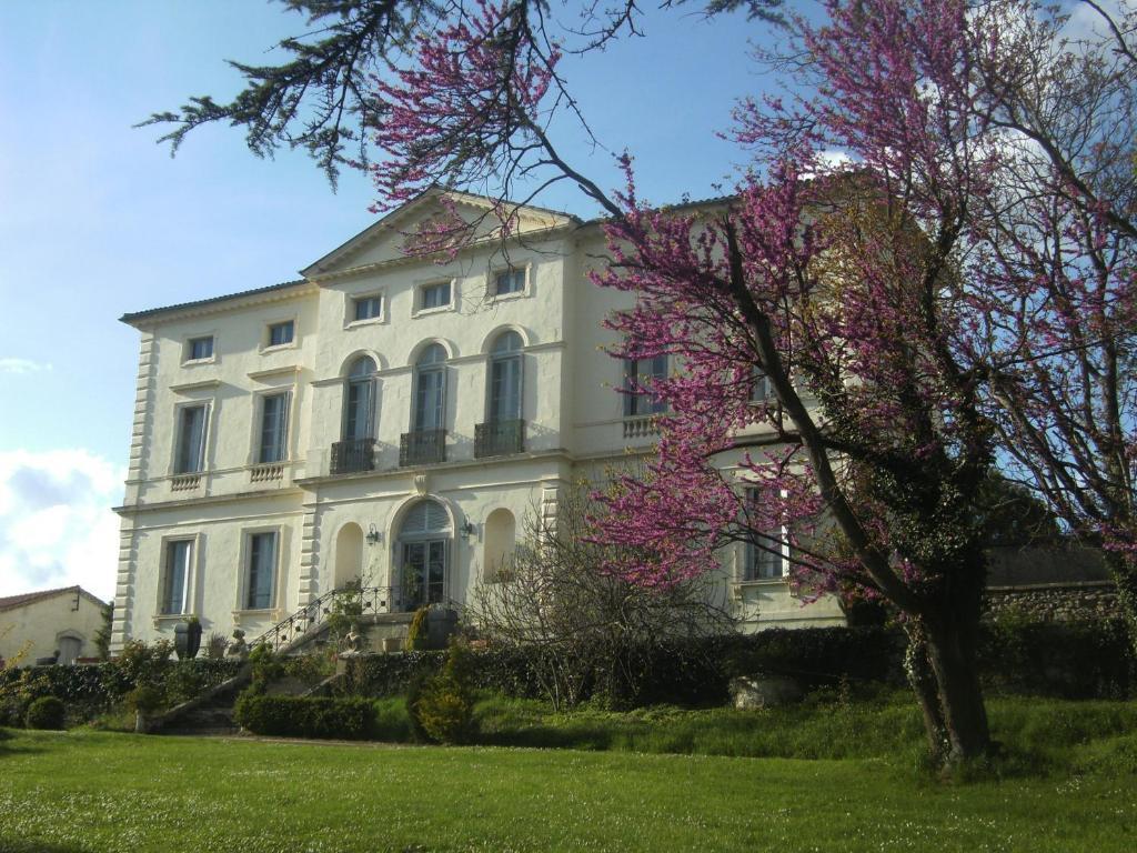 Chambres D'Hotes Du Chateau De Saint Sulpice La Sauvetat-sur-Lède Eksteriør billede