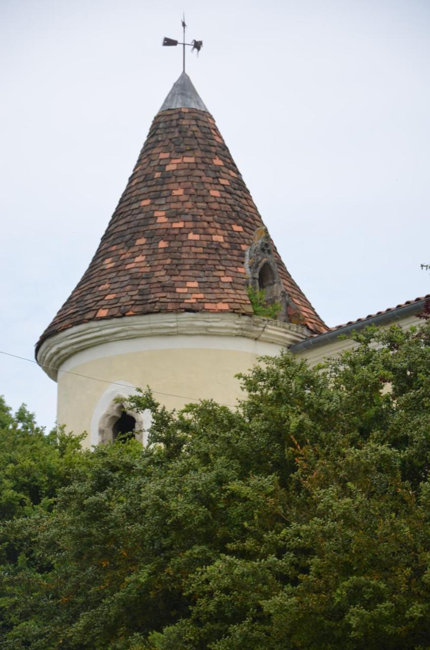 Chambres D'Hotes Du Chateau De Saint Sulpice La Sauvetat-sur-Lède Eksteriør billede